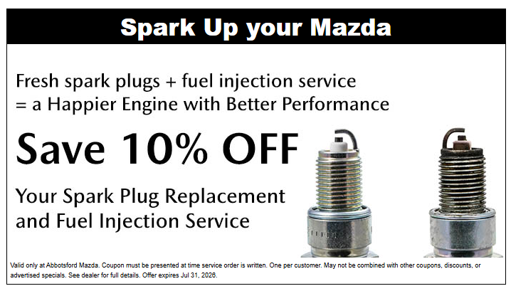 Save 10% Off Your Spark Plug Replacement