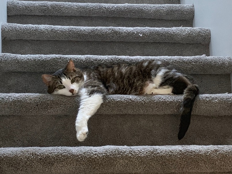 astro