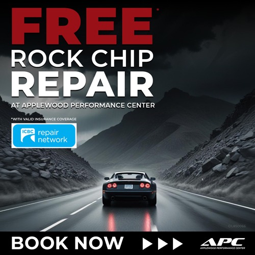 FREE ROCK CHIP REPAIR