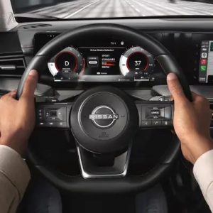 Available Snow Mode