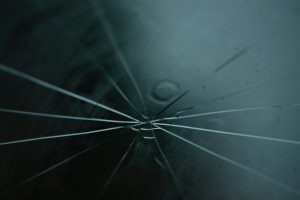 windshields