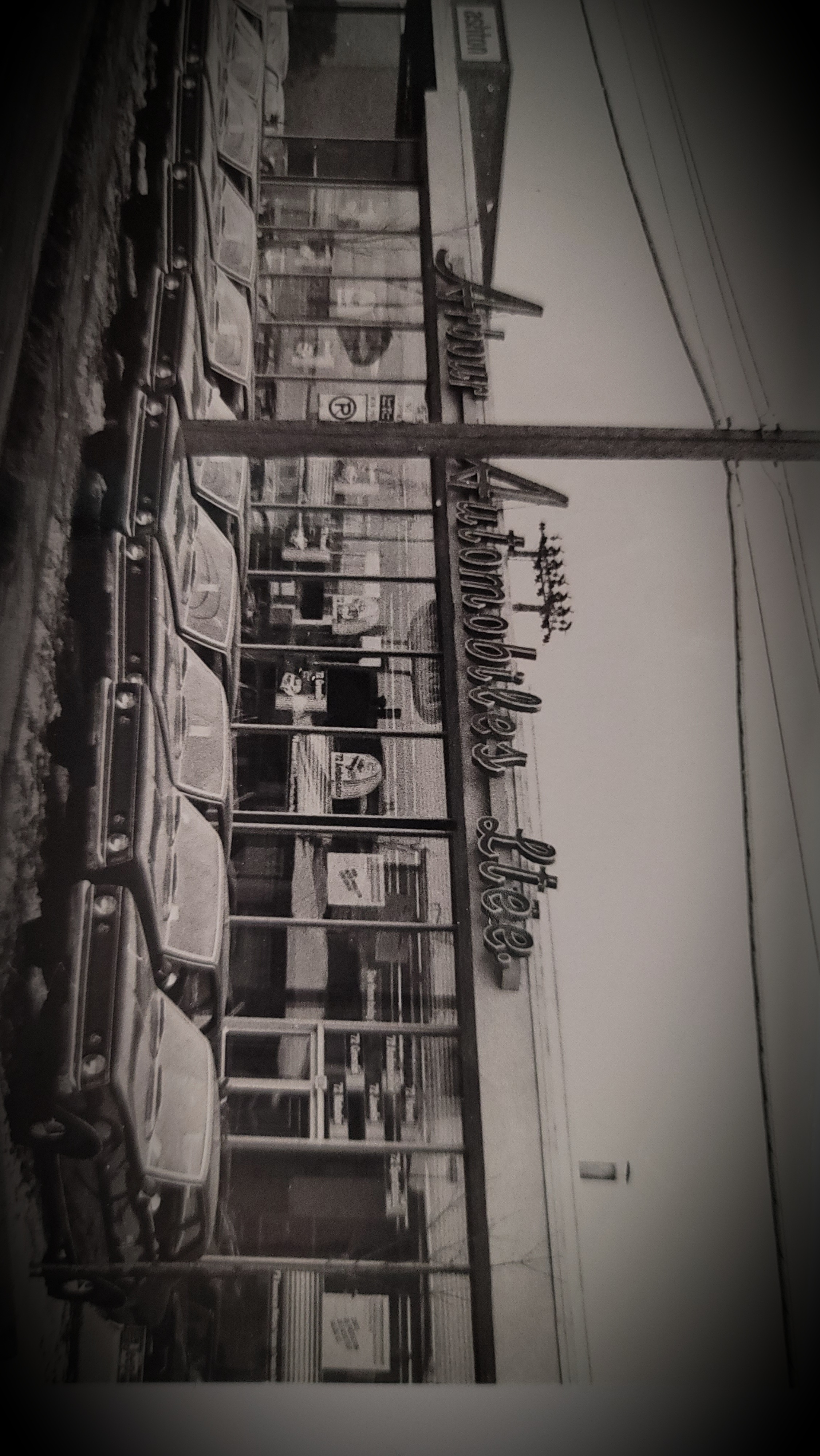 Photo Arbour annee 50