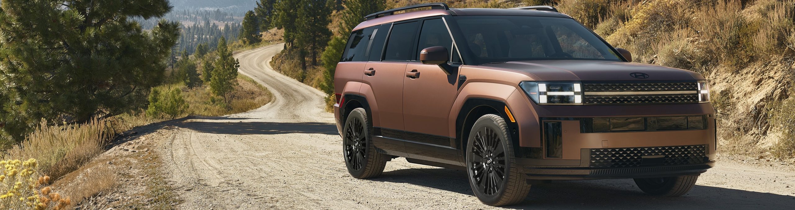 2026 Hyundai Santa Fe Hybrid