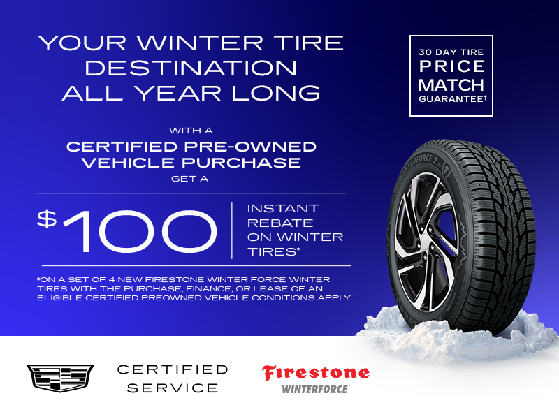 Year-Long Tire Campaign