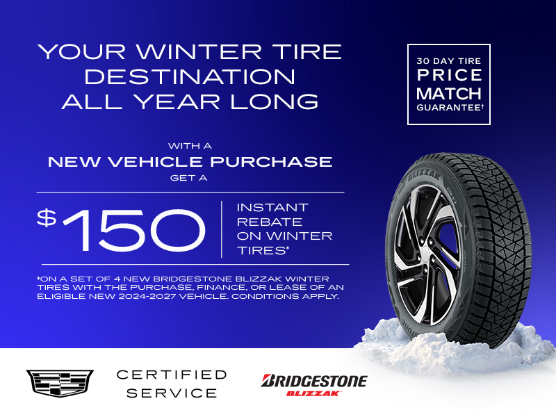 Year-Long Tire Campaign