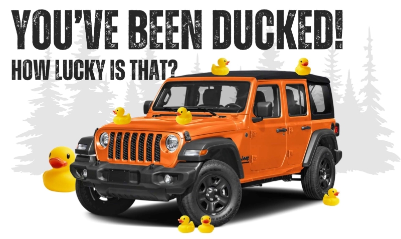 banner image