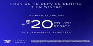 GET A NO-CHARGE 12V BATTERY TEST AND RECEIVE A $20 INSTANT REBATE ON A NEW ACDELCO 12V BATTERY*