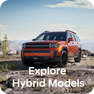 Rebates and Low Rates Hybrid Inventory