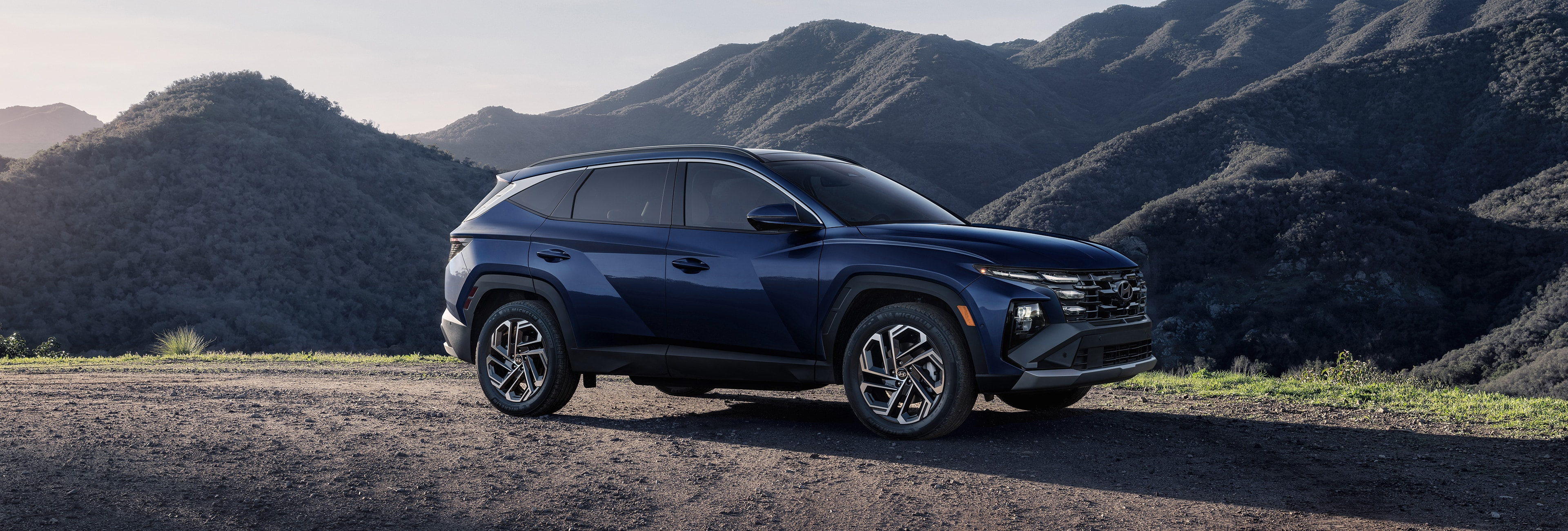 Hyundai Hybrid & Electric