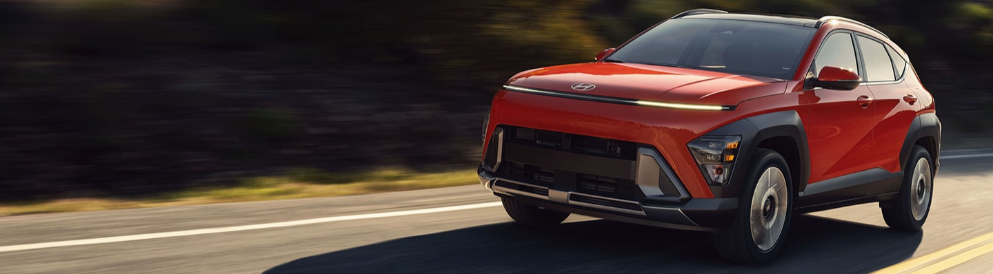 OEM Hyundai Summer Accessories