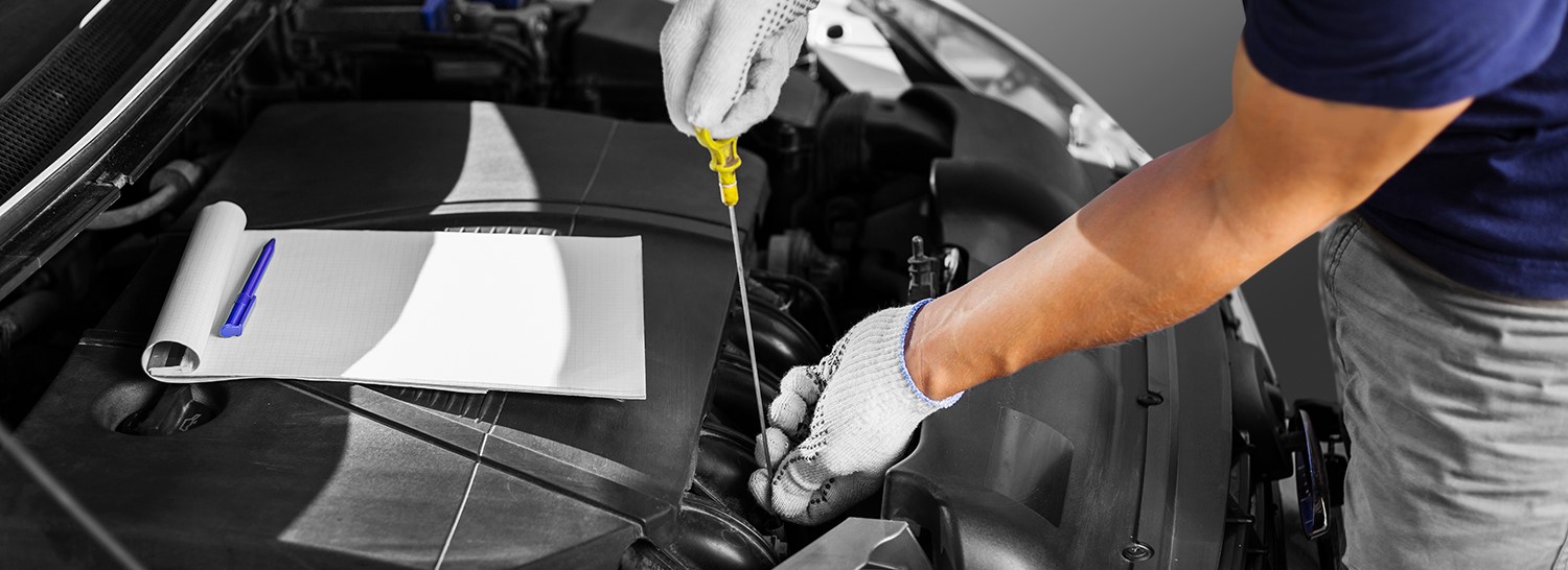 Multi-Point Vehicle Inspection Service