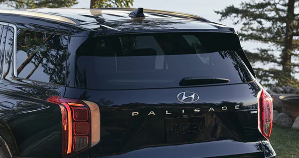 Wiper Blade Replacement Service