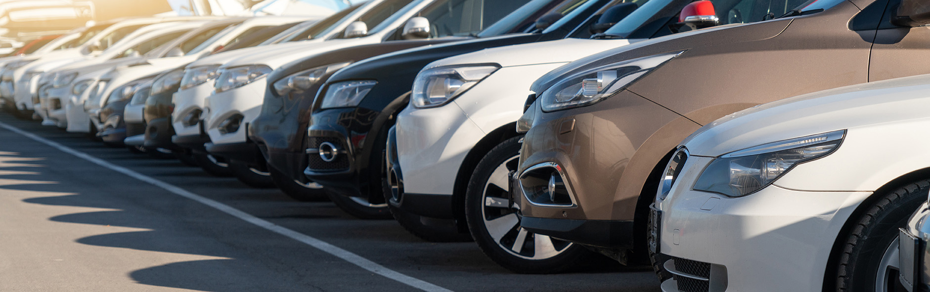 Budget-Friendly Used Cars