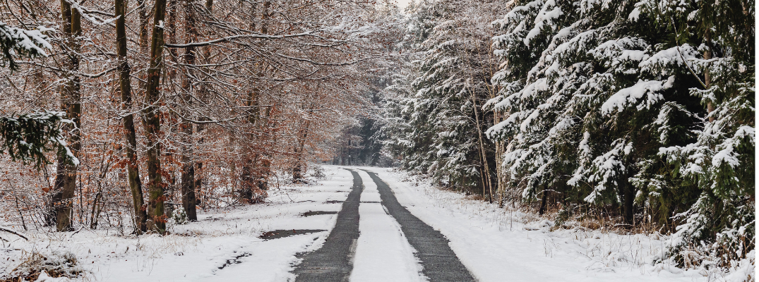 A forest road covered in snow