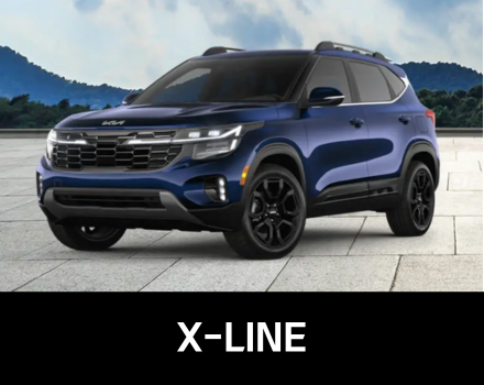 Seltos X-LINE Bowmanville Clarington