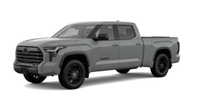 CrewMax Limited L Hybrid