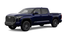 CrewMax Platinum Hybrid