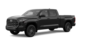 CrewMax Platinum L