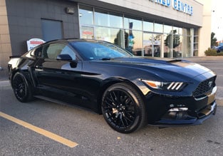 2017 Mustang GT Premium