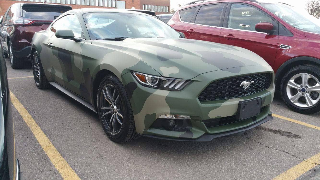 Mustang