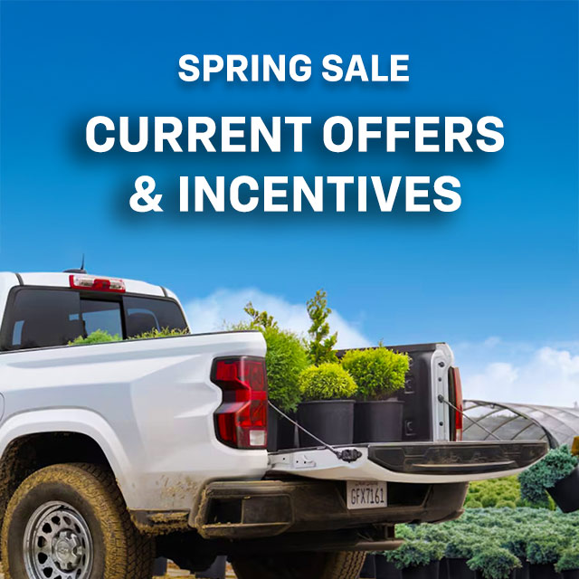 Offers & Incentives 