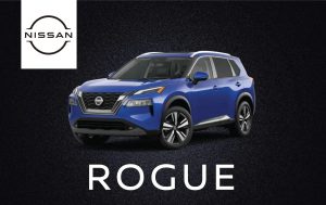 rogue