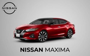 maxima