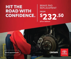 Brake Pad Replacement