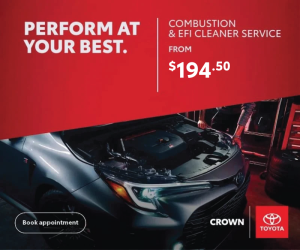Combustion & EFI Cleaner Service