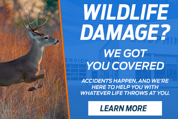 Wildlife Damage