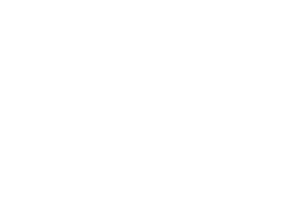 Dependable Emergency Vehicles Logo
