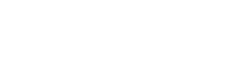 Dominion Motors white logo