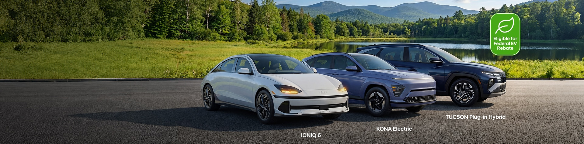 Electric Vehicle Affordability Program (EVAP)