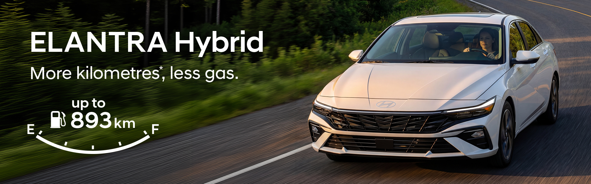 SarniaHyundai-BannerResize-D1-V4