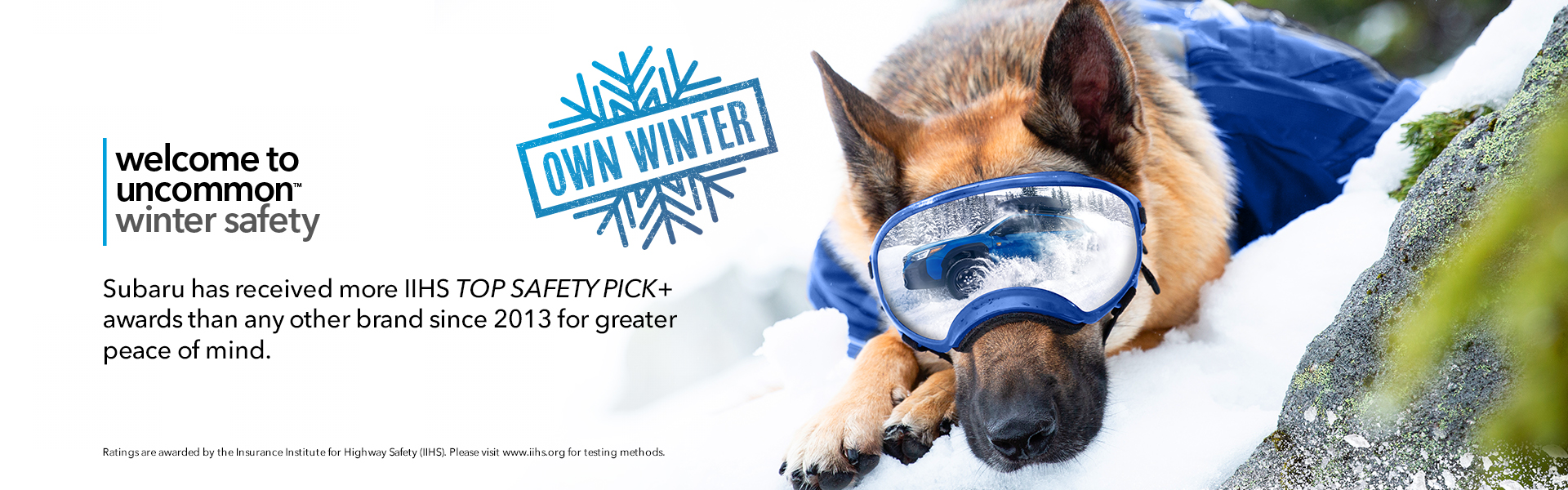 SCI Winter Promo