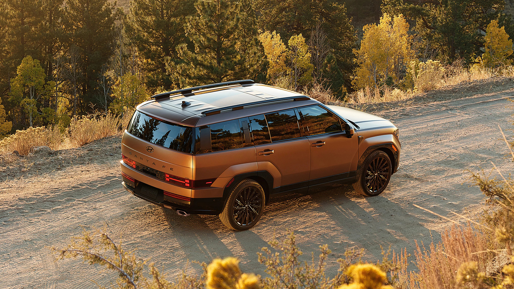 Standard bridge-type roof rack