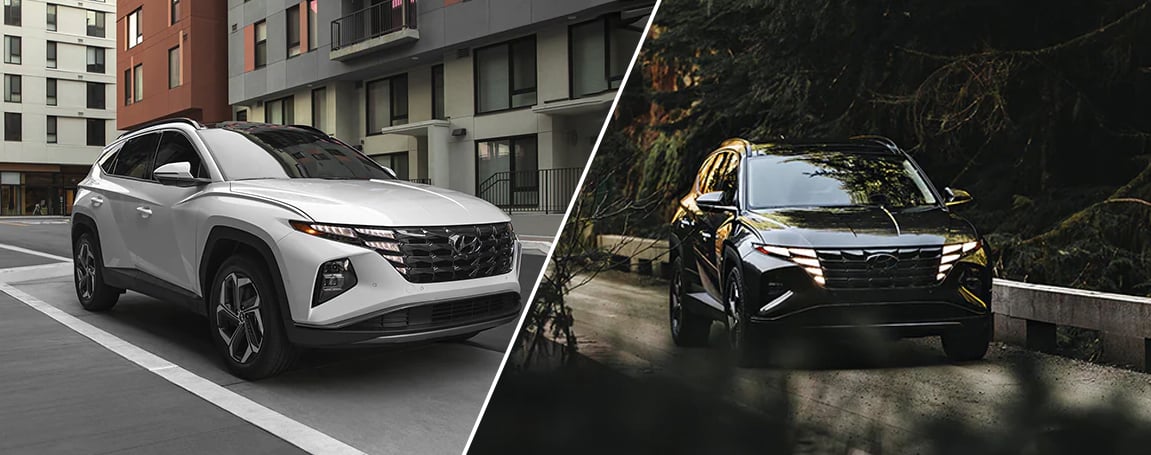 Exterior-Layout-and-Options-2