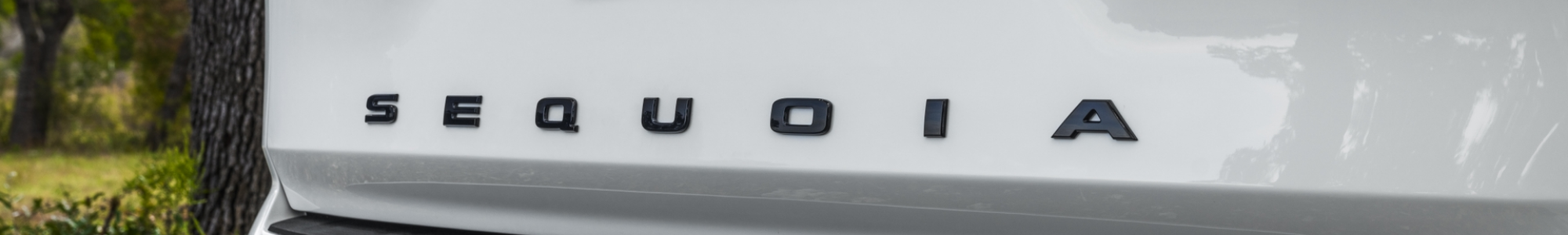 2023 Sequoia 2023 Sequoia