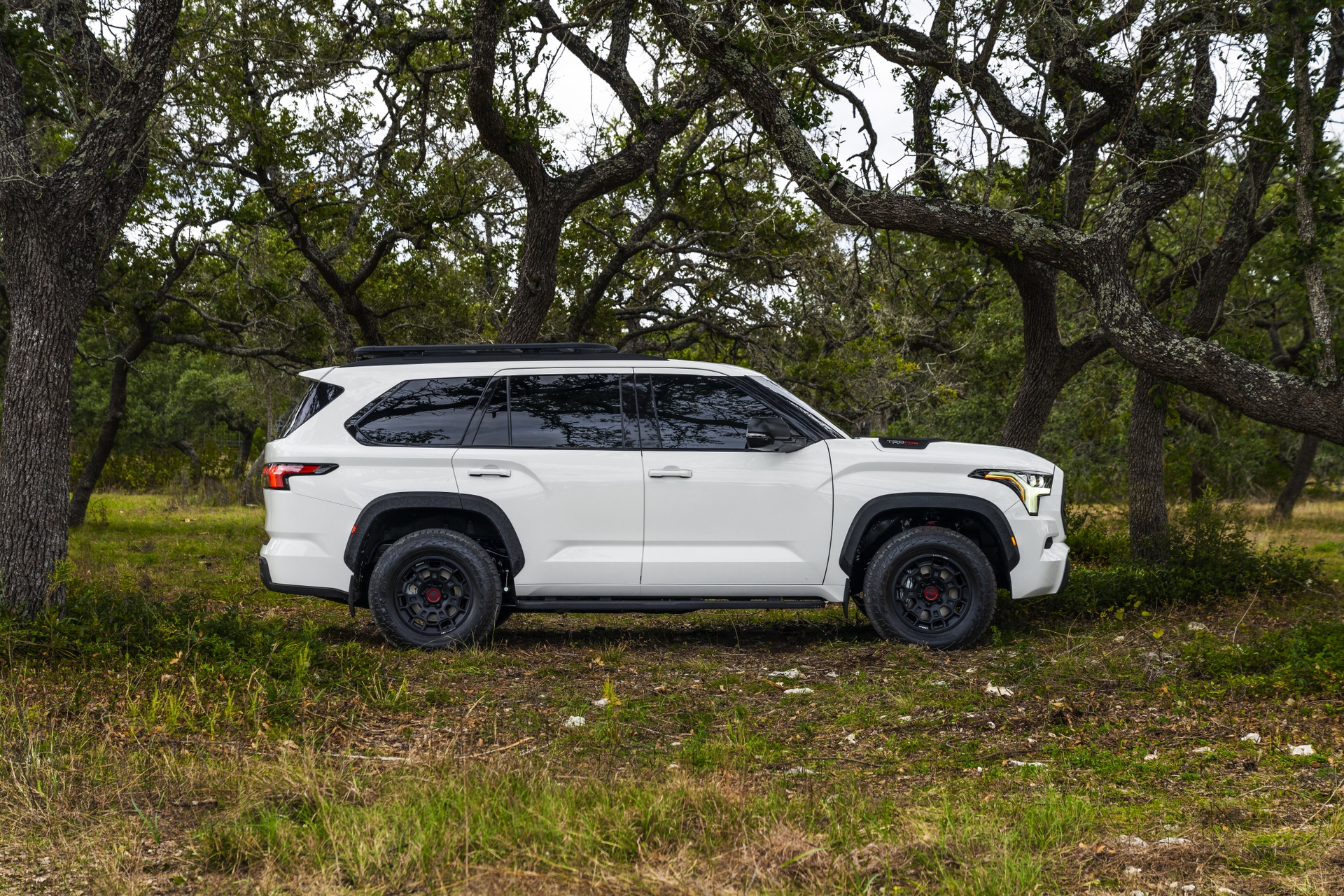 2023 Sequoia