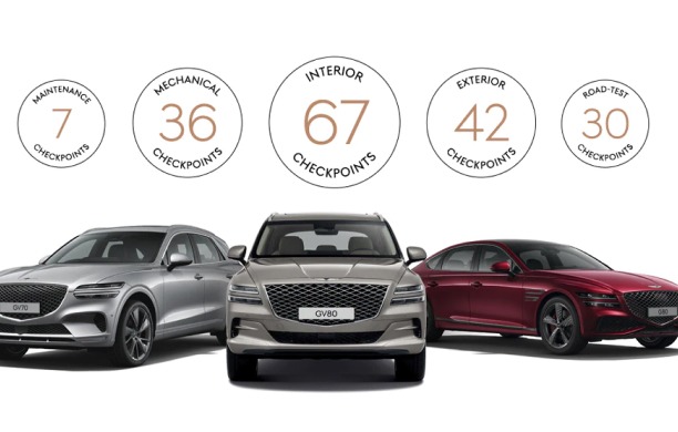 191-Point Inspection