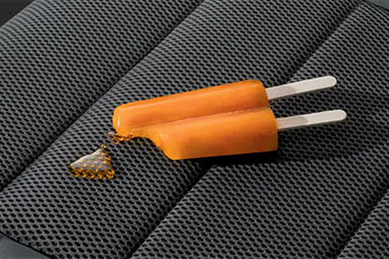 LEATHER_PROTECTOR
