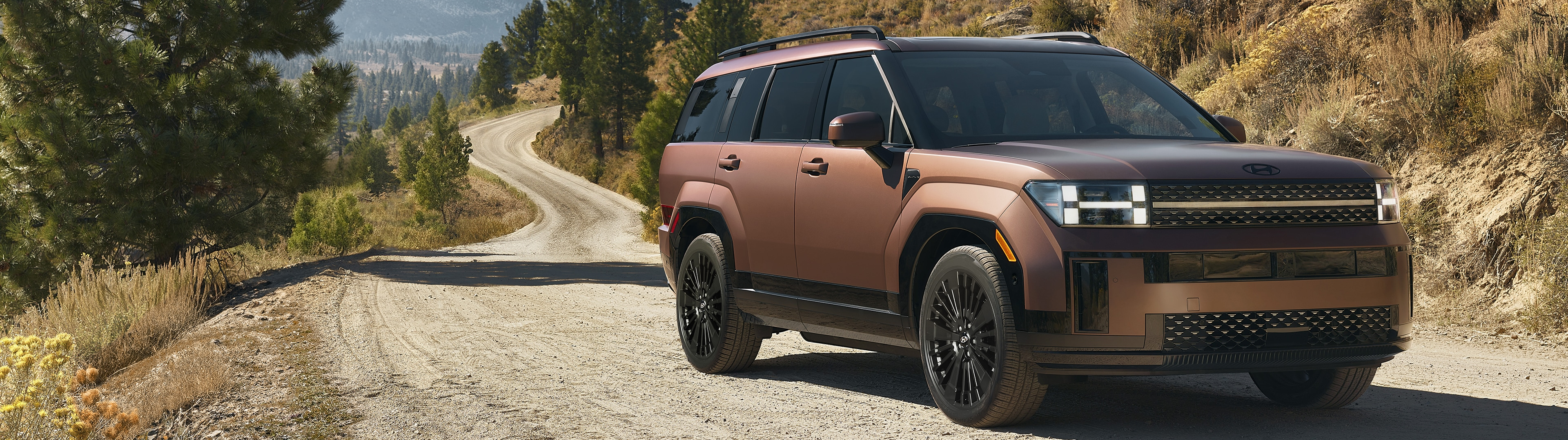 2026 Hyundai Santa Fe HEV