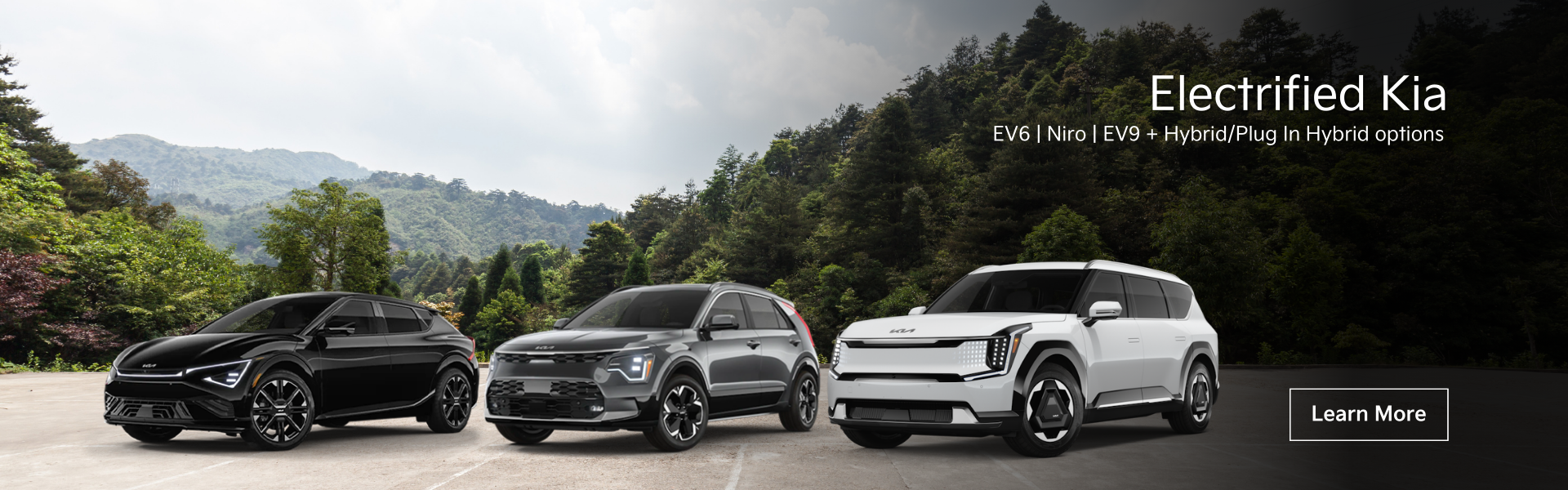 Discover Electric Models