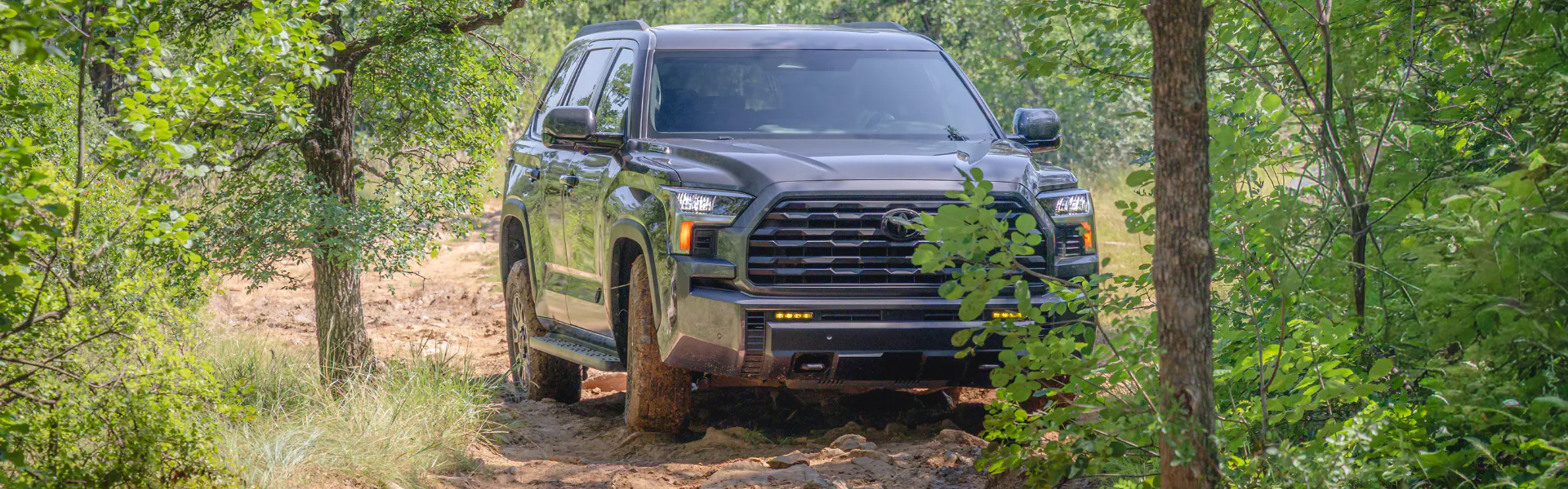 Toyota Sequoia off-roading through a wooded trail