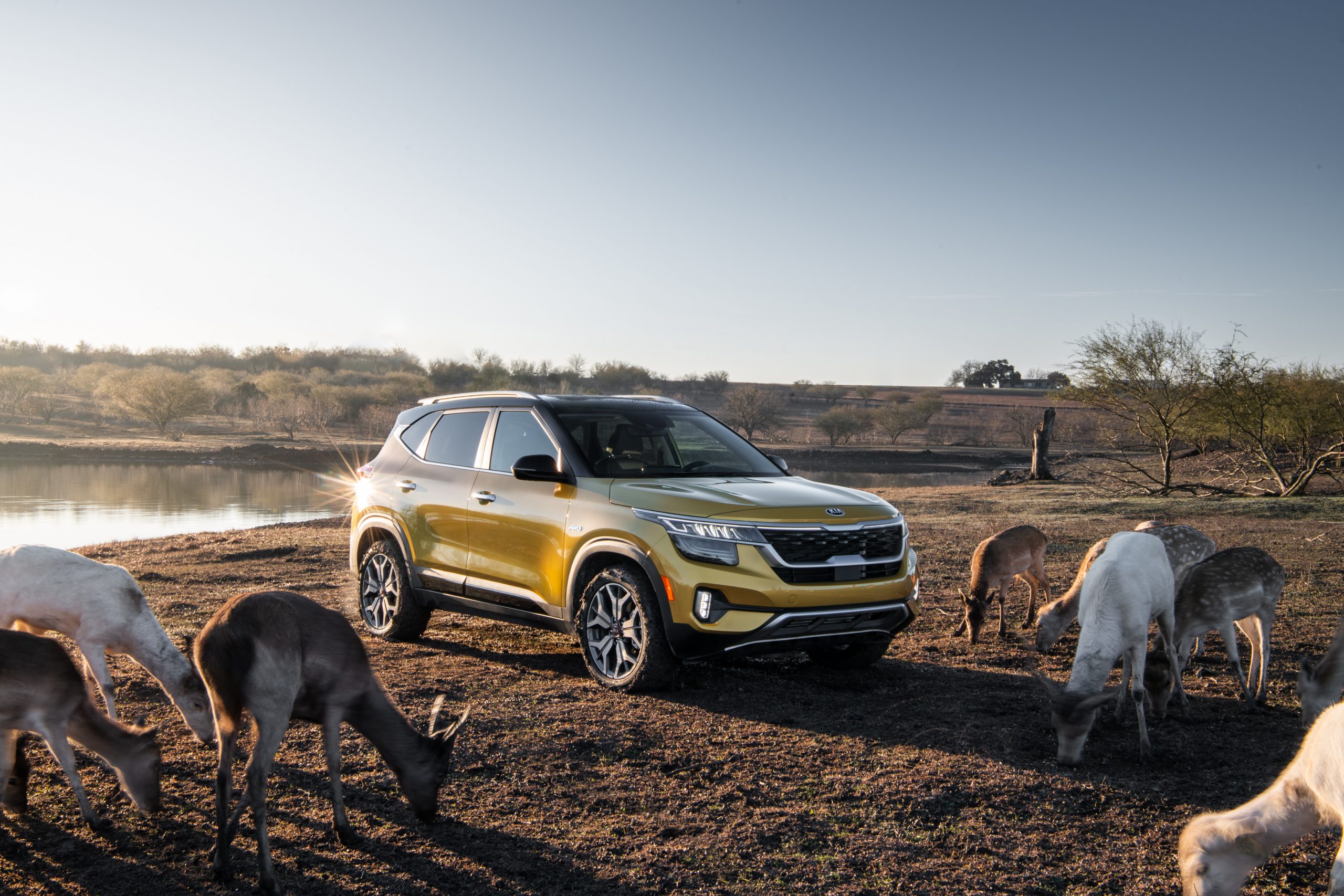 kia-trois-rivieres-seltos-2021