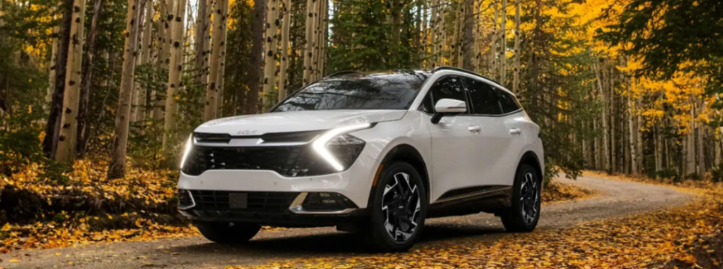 2025 Kia Sportage parked in a forest