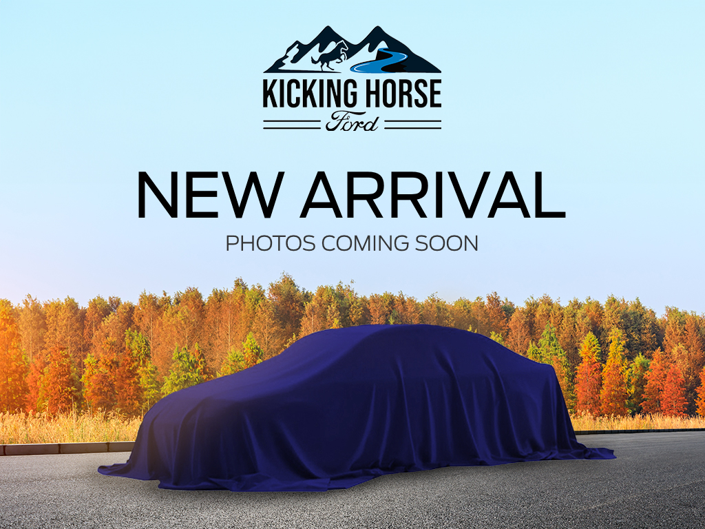 2023 Ford Transit Passenger Wagon