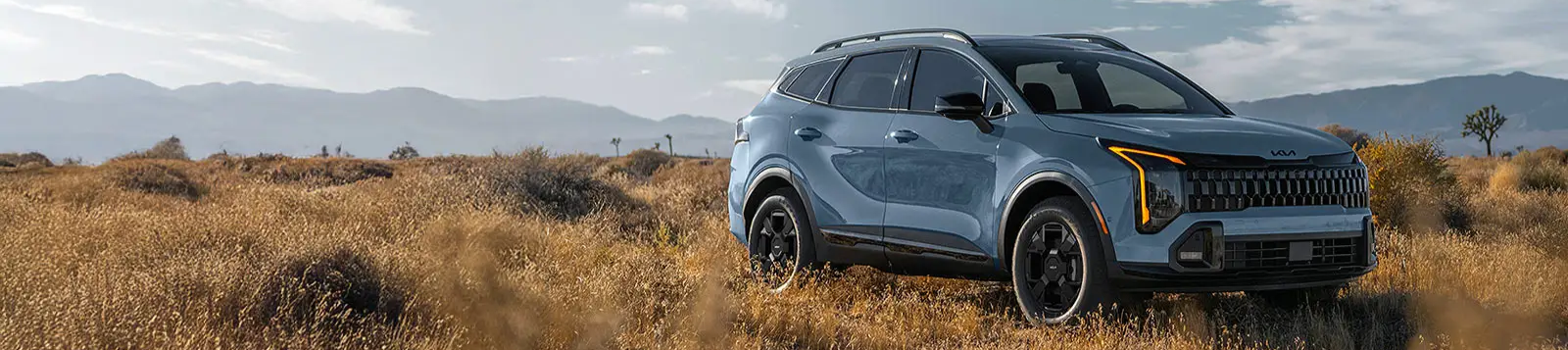 Kia SUV parked on grass during daytime.