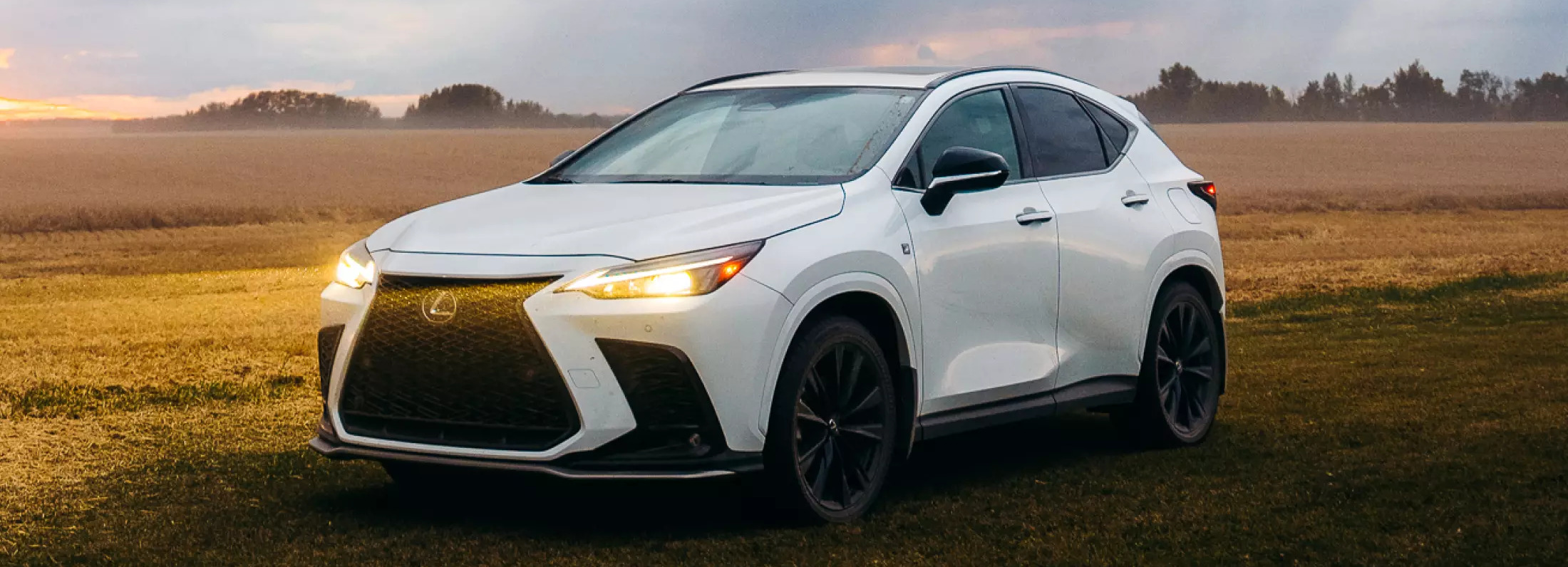 2026 Lexus NX in Toronto, ON