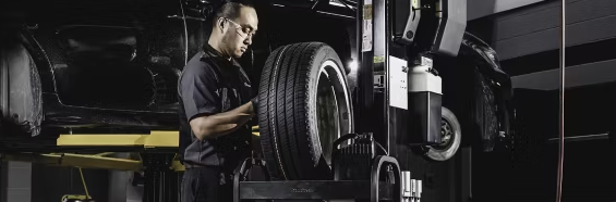 Lexus Winter Maintenance